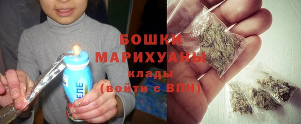 шишки Магас