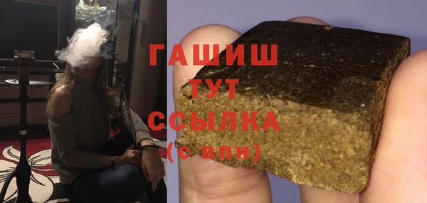 шишки Магас