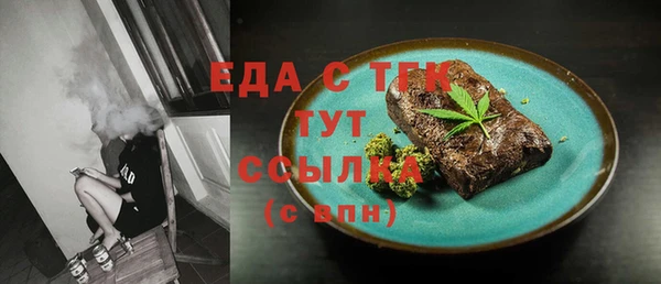 шишки Магас