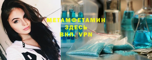 шишки Магас