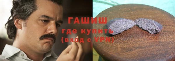 шишки Магас