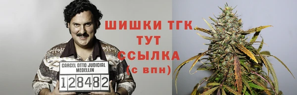 шишки Магас