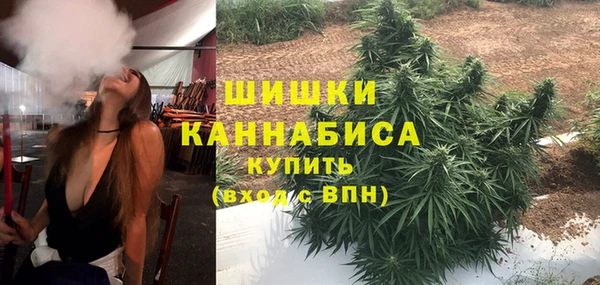 стаф Магадан