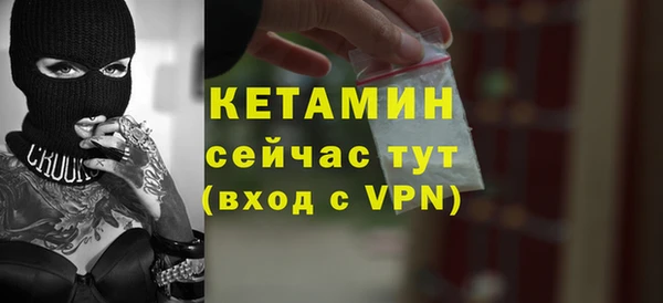 шишки Магас