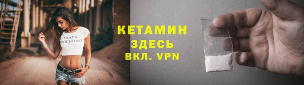 шишки Магас