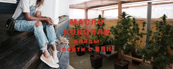 шишки Магас