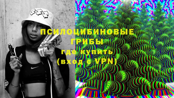стаф Магадан