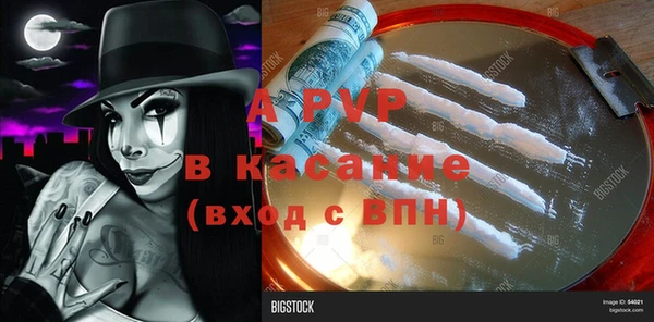 стаф Магадан