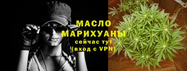 шишки Магас