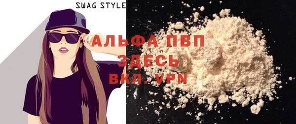 шишки Магас