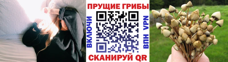 Галлюциногенные грибы Magic Shrooms  Таштагол 